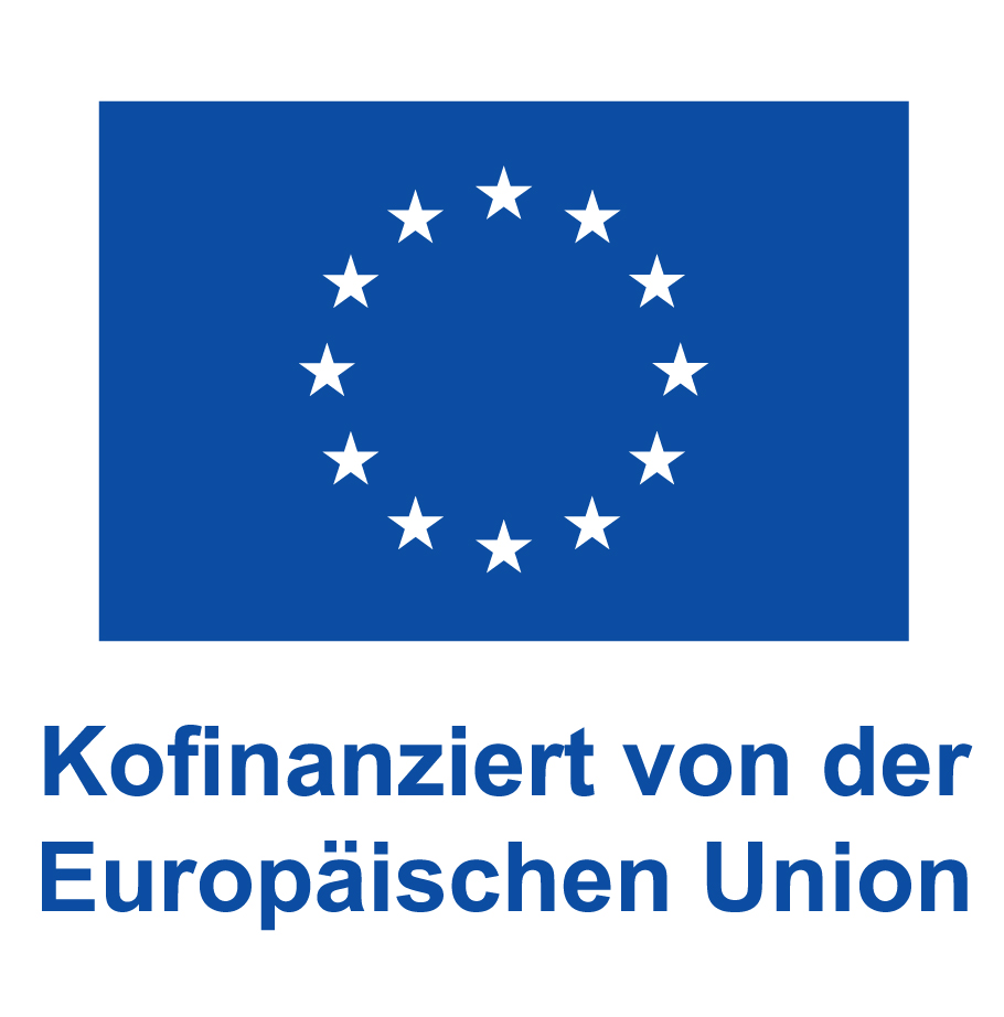 DE_V_Kofinanziert_von_der_Europaeischen_Union_Web_blau.jpg