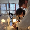 2025_02_20_Leistungsfach Chemie in Berlin
